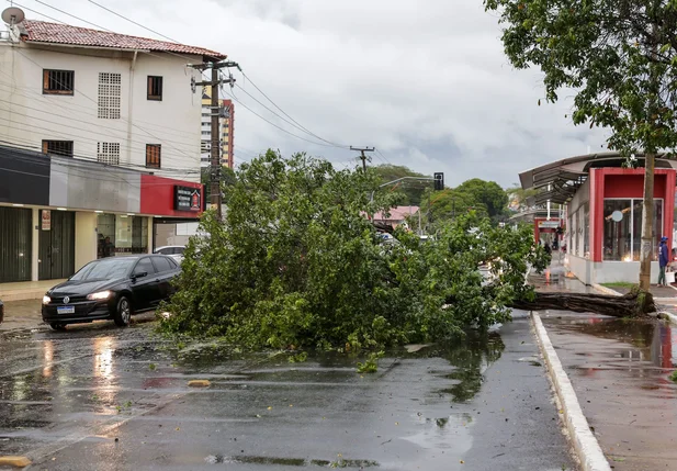 A chuva rápida causou estragos