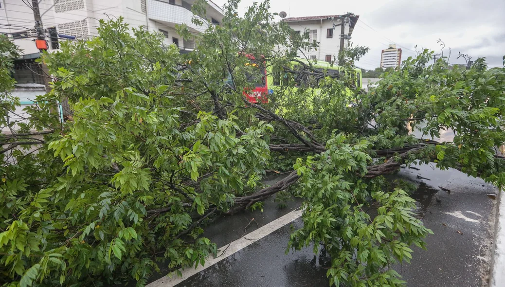 A previsão é de chuvas entre 20 e 30 mm/h ou até 50 mm/dia e ventos entre 40 e 60  km/h
