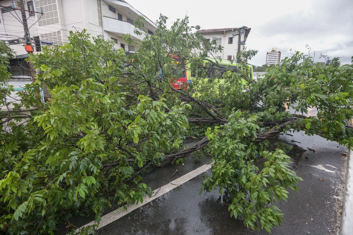 A previsão é de chuvas entre 20 e 30 mm/h ou até 50 mm/dia