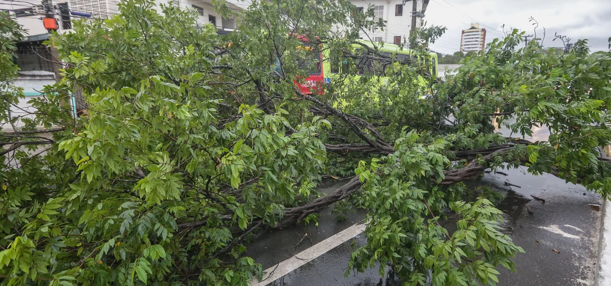 A previsão é de chuvas entre 20 e 30 mm/h ou até 50 mm/dia e ventos entre 40 e 60  km/h