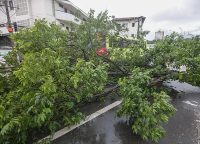 A previsão é de chuvas entre 20 e 30 mm/h ou até 50 mm/dia e ventos entre 40 e 60  km/h