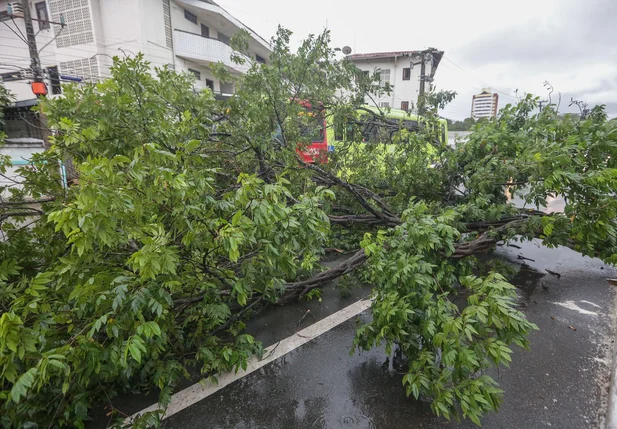 A previsão é de chuvas entre 20 e 30 mm/h ou até 50 mm/dia e ventos entre 40 e 60  km/h