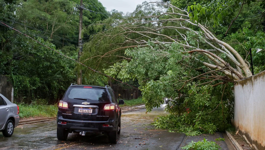 A rápida chuva teve início por volta de 16h