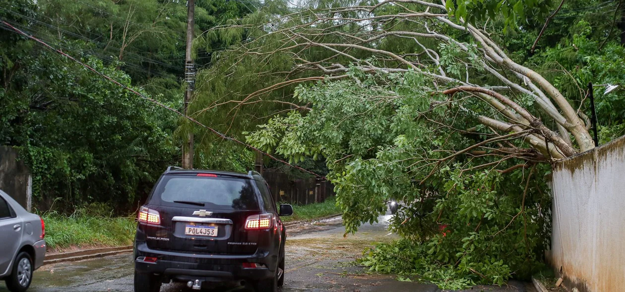 A rápida chuva teve início por volta de 16h