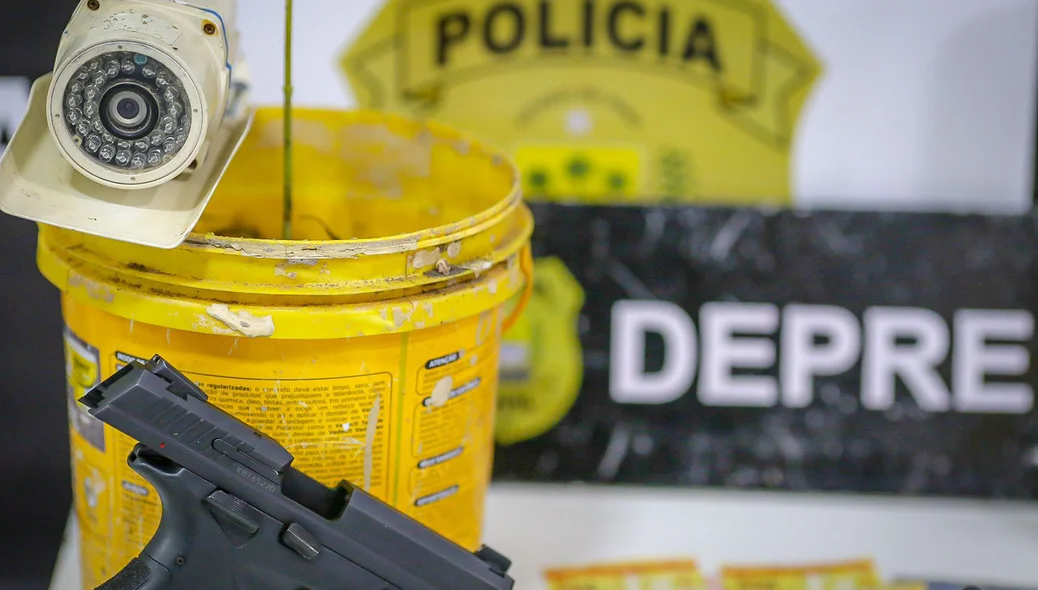 Arma e planta de maconha apreendidas