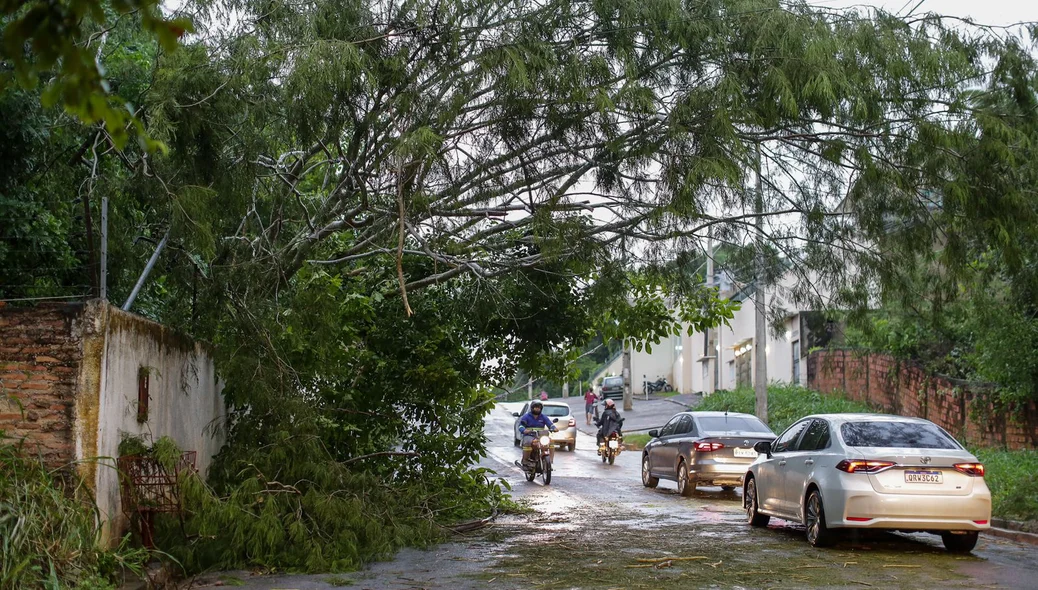 Avenida Camilo Filho, onde árvore caiu