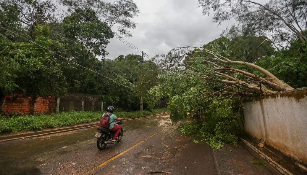 Chuva rápida causou estragos