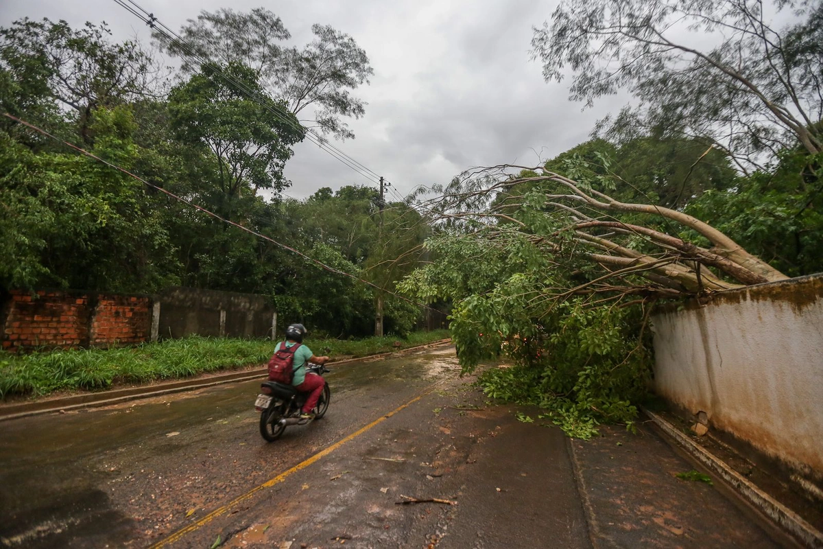 Chuva rápida causou estragos