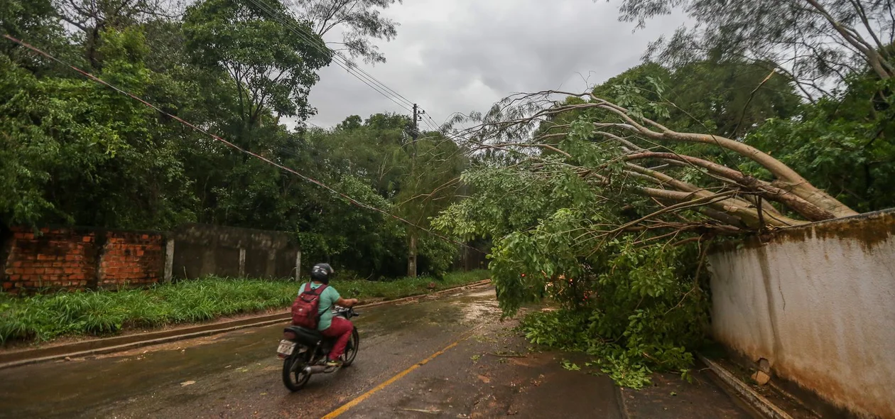 Chuva rápida causou estragos