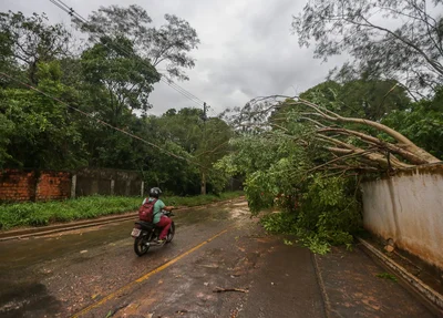 Chuva rápida causou estragos