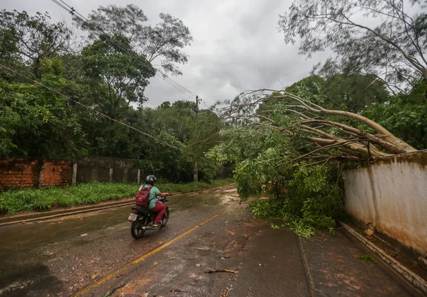 Chuva rápida causou estragos