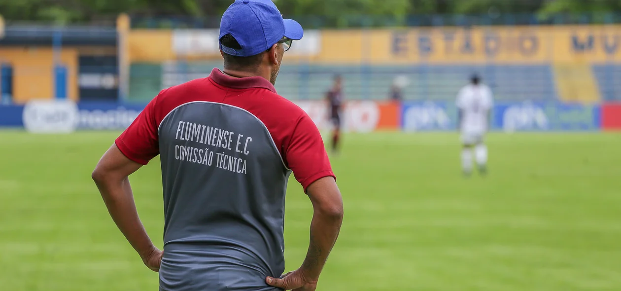 Eduardo dos Santos, Técnico do Fluminense