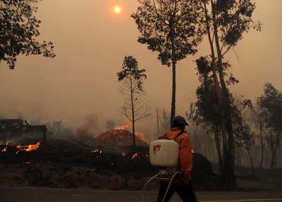 Incêndio florestal no Chile