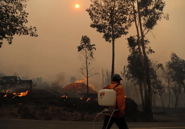 Incêndio florestal no Chile