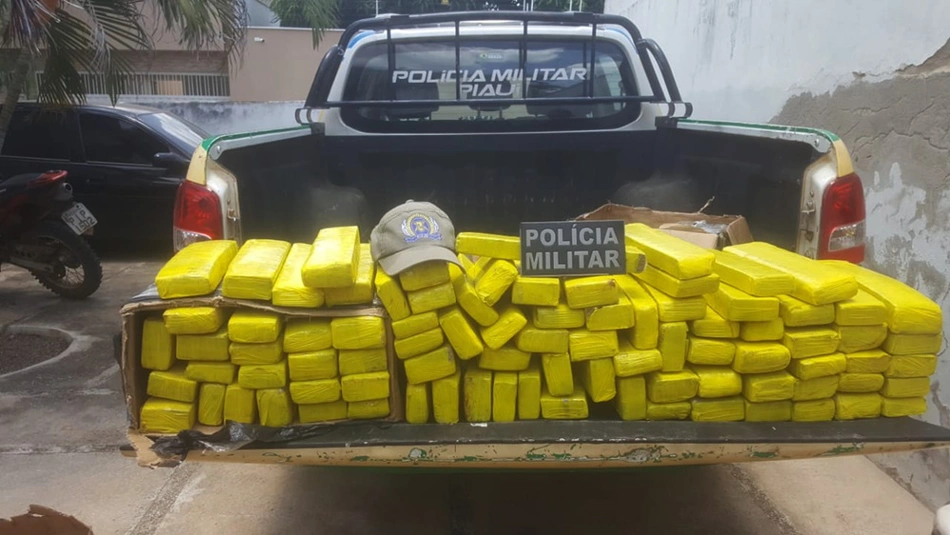 Maconha apreendida em São Raimundo Nonato