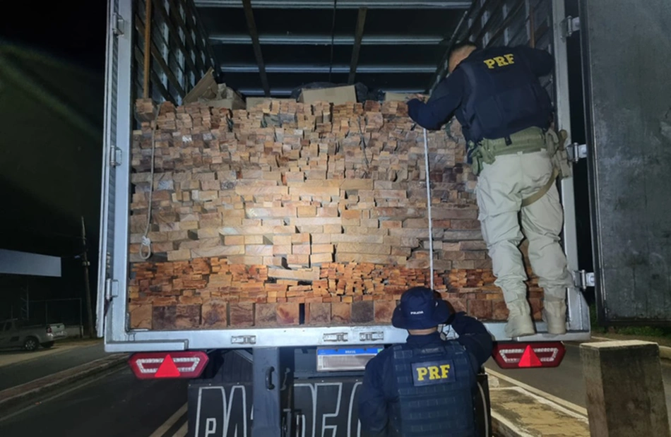 Madeira apreendida ilegalmente pela PRF