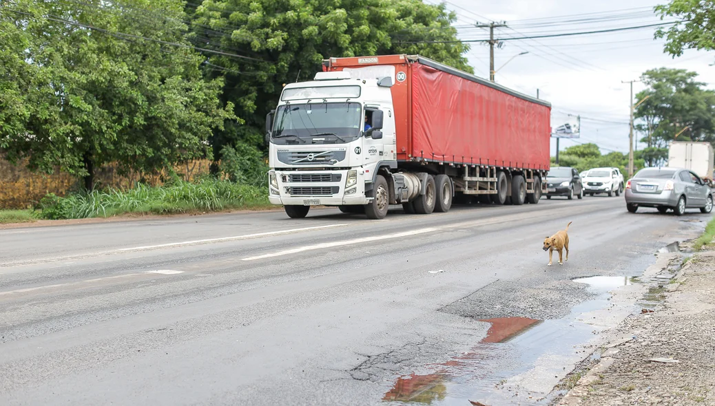 Manifestação ocorreu na BR 343