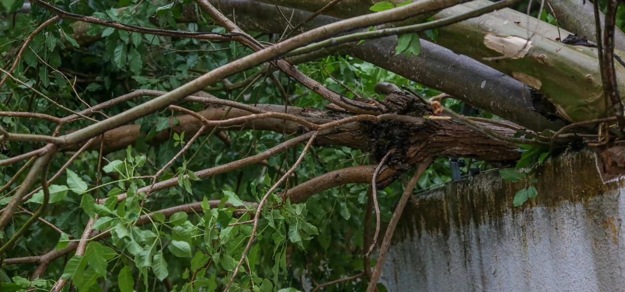 Os pontos atingidos foram na zona leste e sudeste