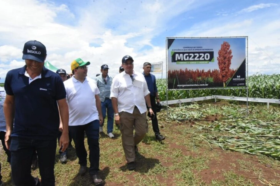 Piauí deve ter nova safra recorde de grãos em 2023, diz Governo