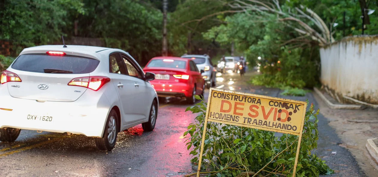 Por conta do ocorrido, os veículo tiveram que fazer um desvio