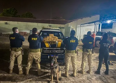 PRF contou com o auxílio de um cão farejador