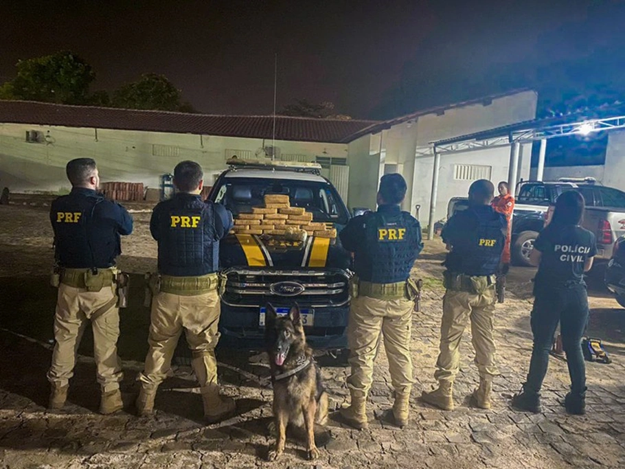 PRF contou com o auxílio de um cão farejador