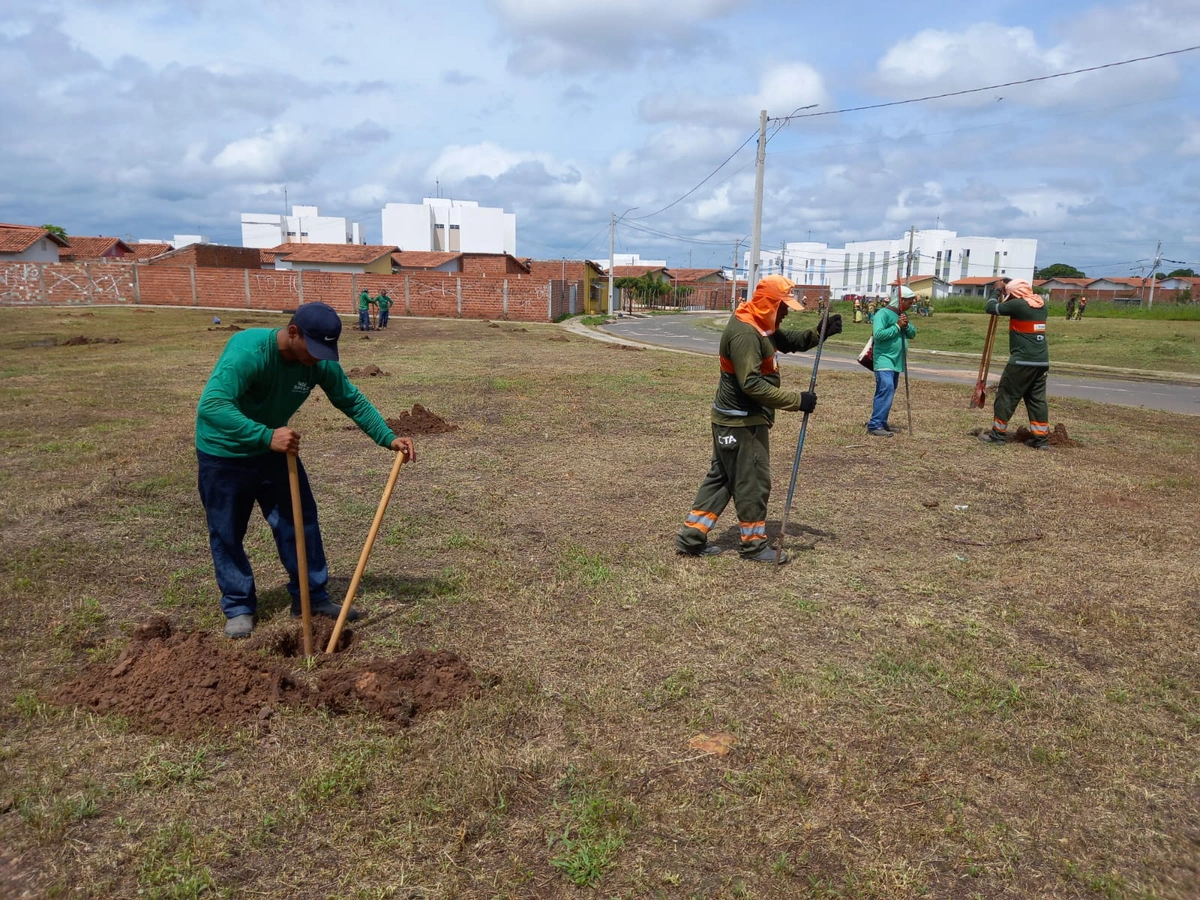 Residencial Lagoa do Norte no Parque Brasil III receberá nova arborização