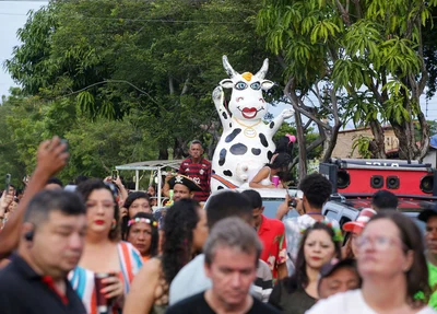Vaca Atolada desfilando