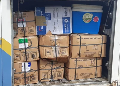 Animais foram encontrados em caixas no bagageiro de ônibus que ia para Brasília