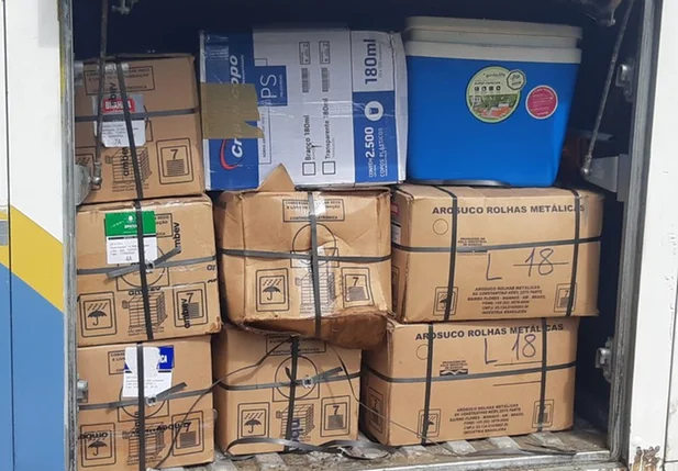 Animais foram encontrados em caixas no bagageiro de ônibus que ia para Brasília