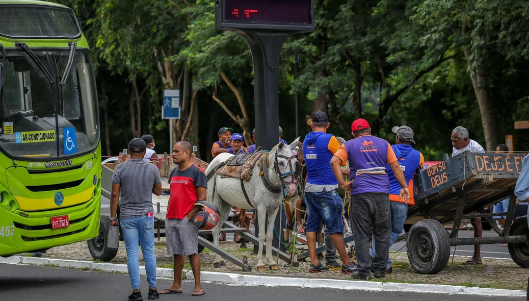 Carroceiros também participaram da manifestação