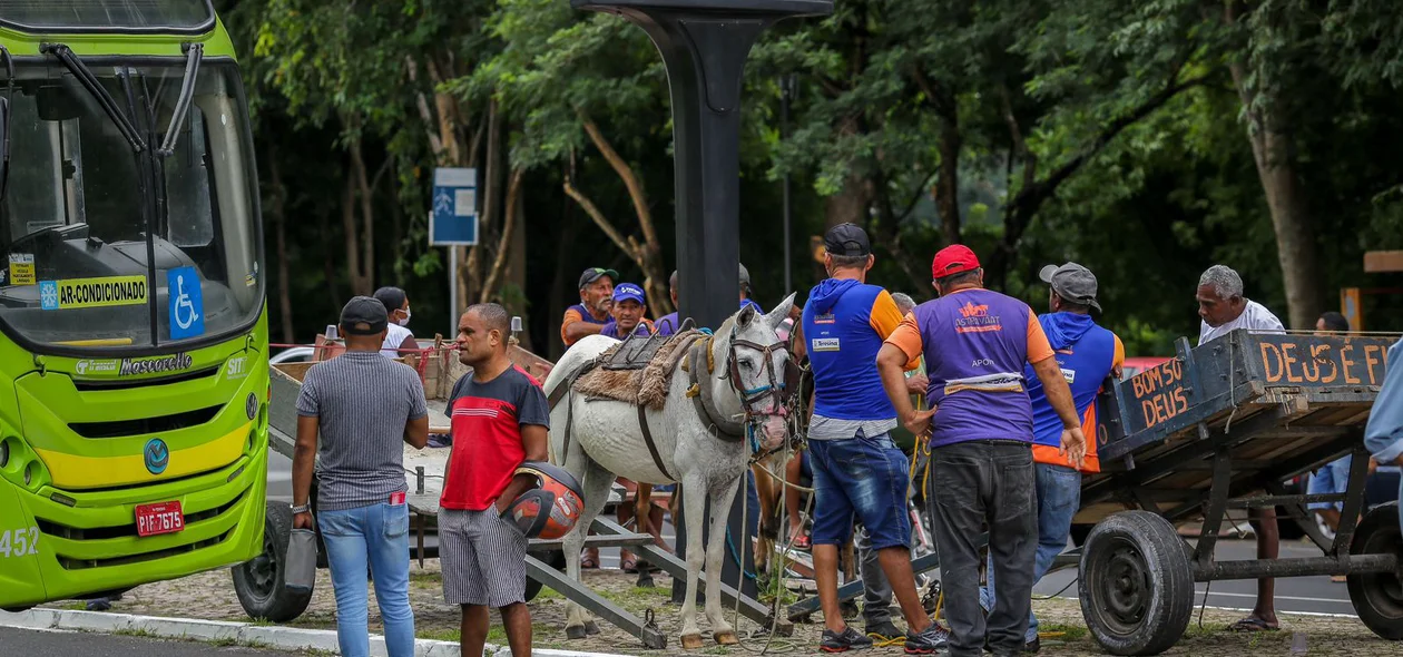 Carroceiros também participaram da manifestação