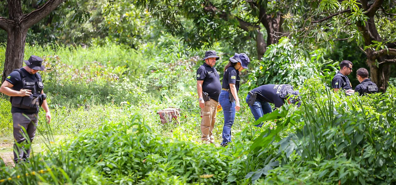 DHPP investigará o caso