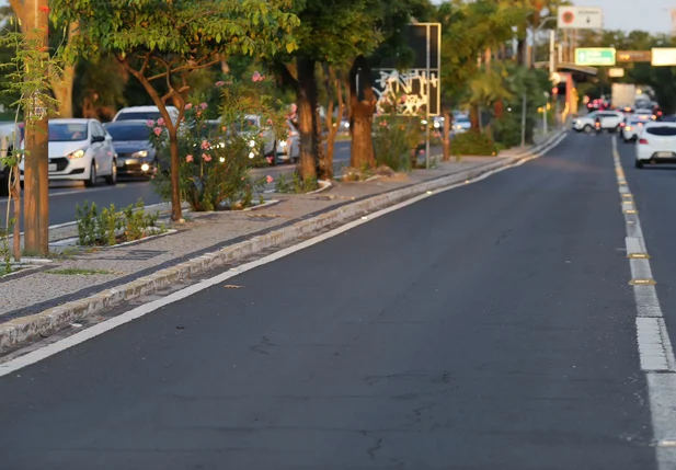 Faixa exclusiva para ônibus na Avenida João XXIII