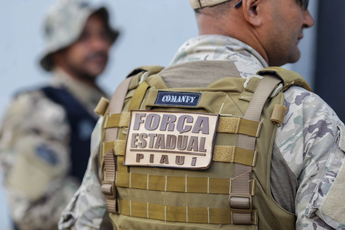 Força Estadual Integrada de Segurança Pública
