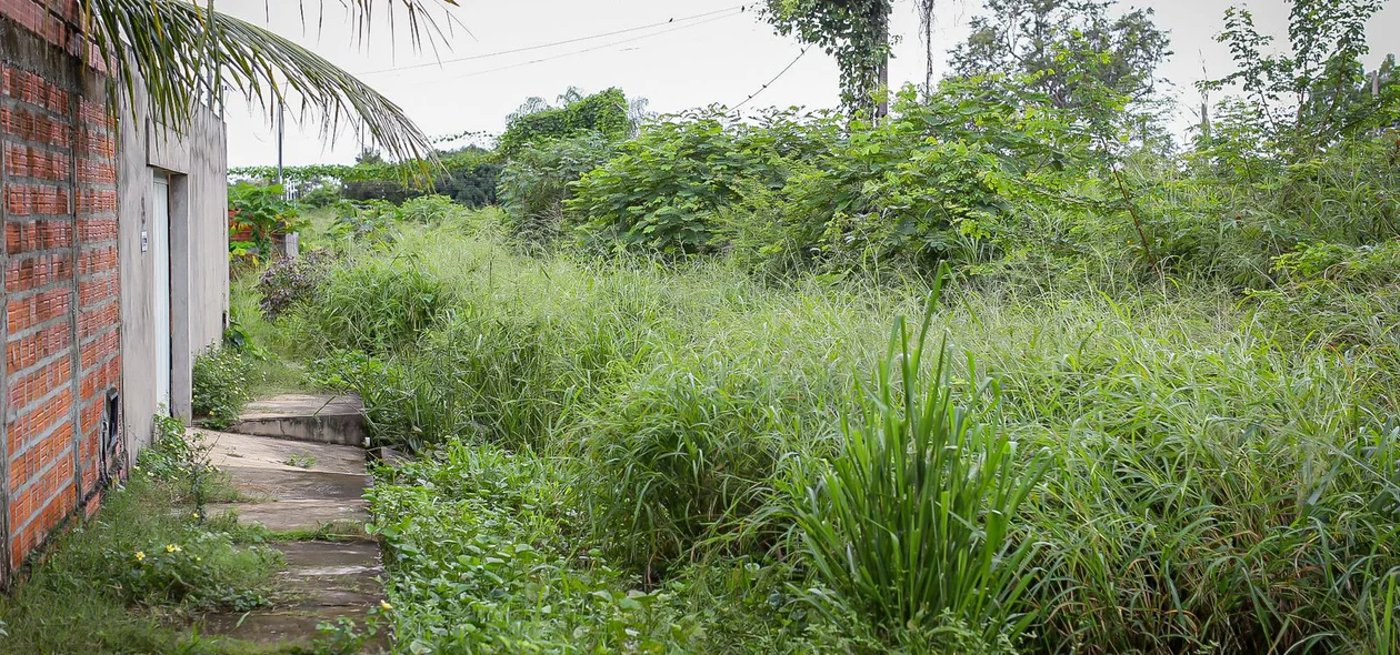 Mato toma de conta do residencial Polo Sul