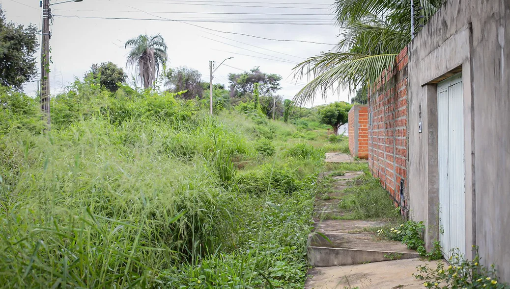 Moradores da quadra k do residencial Polo Sul cobram limpeza das ruas