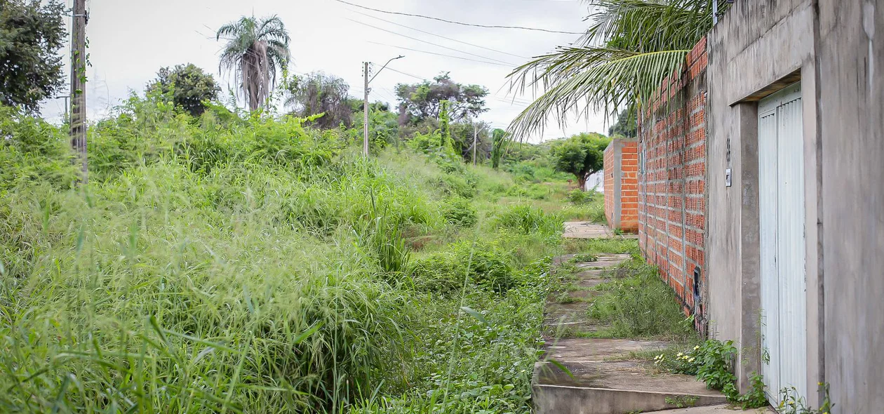 Moradores da quadra k do residencial Polo Sul cobram limpeza das ruas