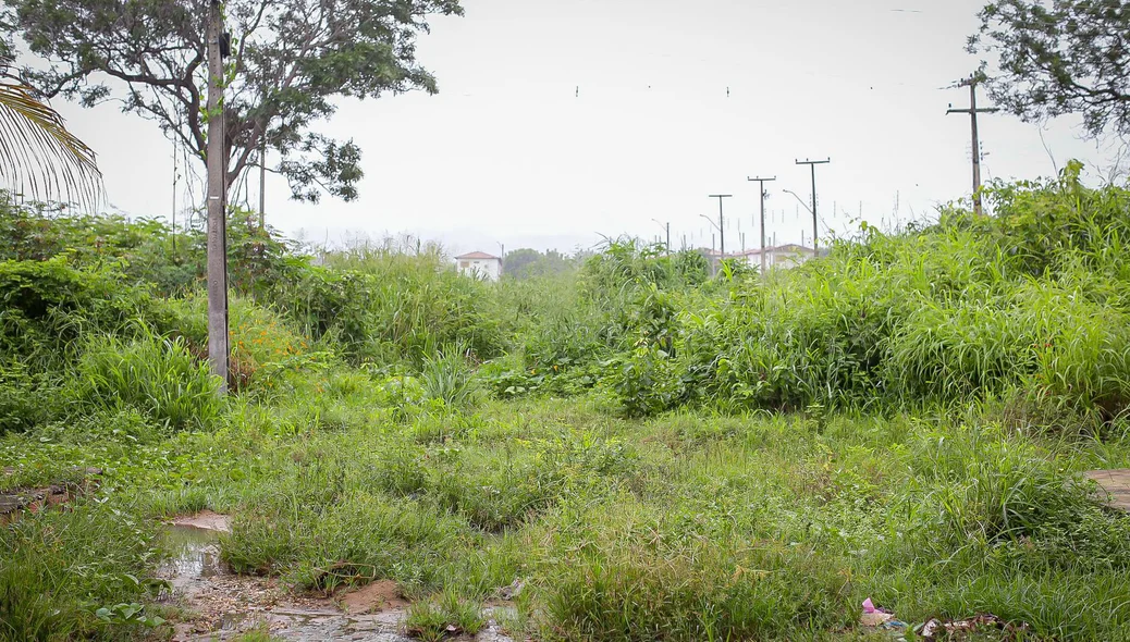 Moradores do residencial Polo Sul clamam por limpeza no bairro