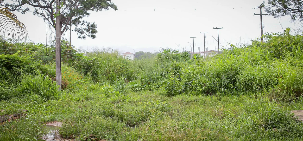 Moradores do residencial Polo Sul clamam por limpeza no bairro