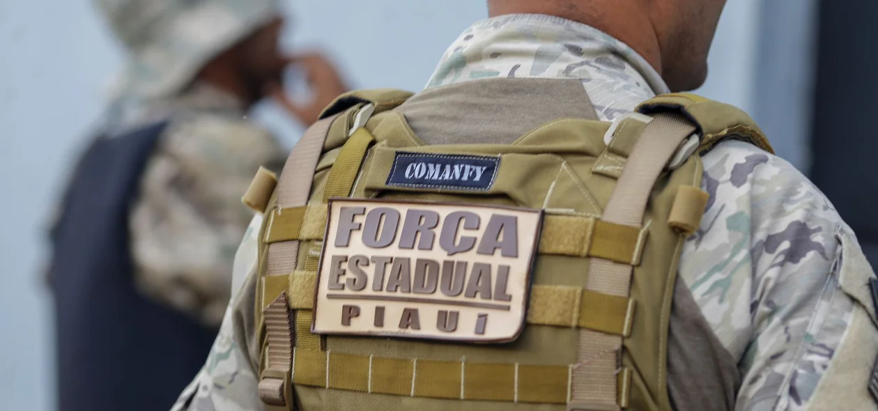 Operação foi realizada no Piauí, Mato Grosso, Pernambuco e Maranhão