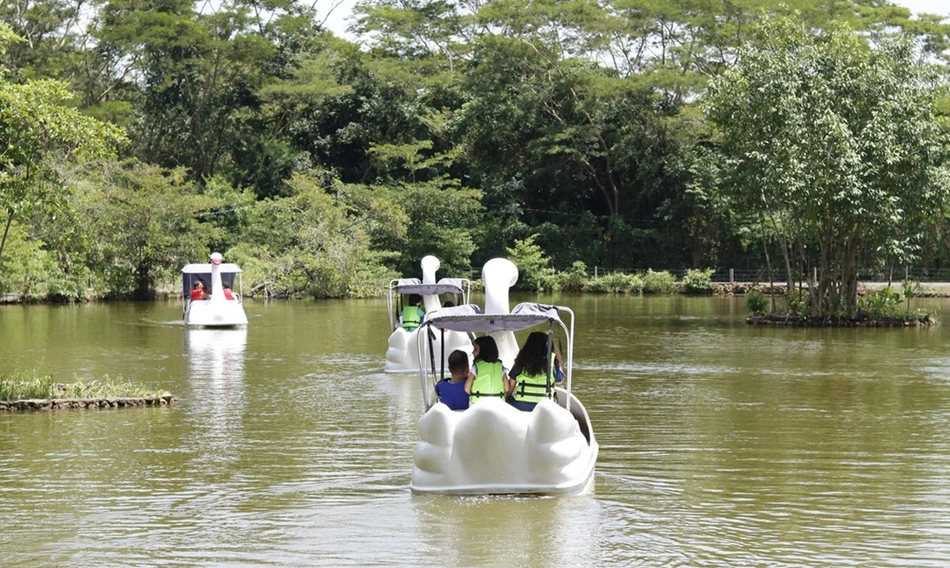 Passeio de pedalinho da Semar