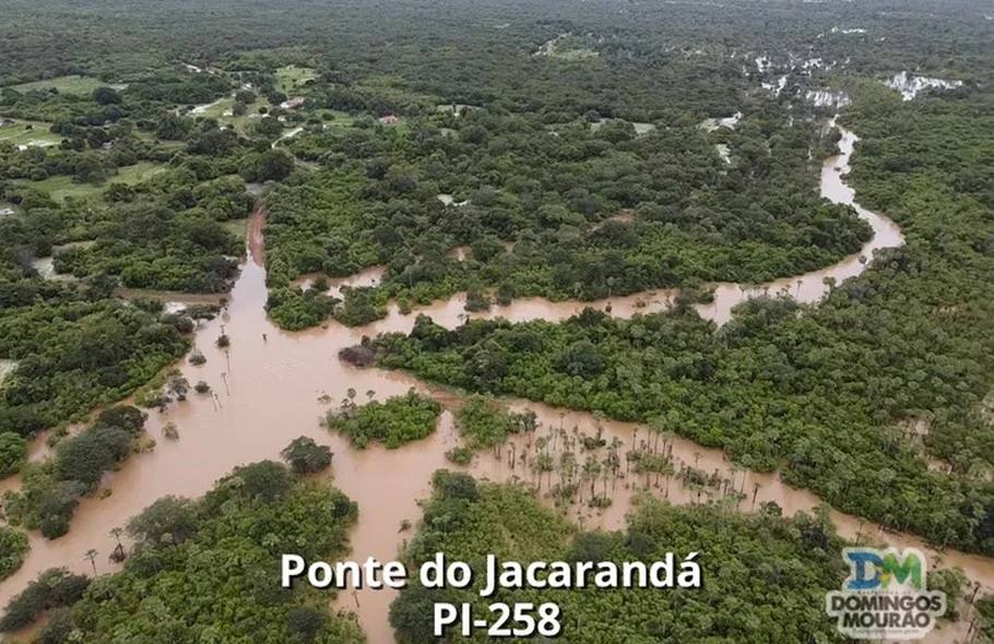 Ponte do Jacarandá