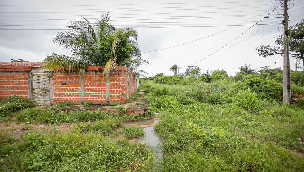 Rua tomada pelo mato no residencial Polo Sul