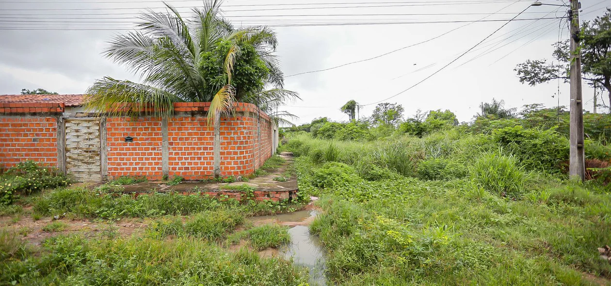 Rua tomada pelo mato no residencial Polo Sul