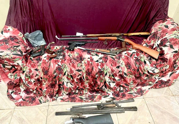 A ação resultou na apreensão de sete armas de fogo e prisão do suspeito