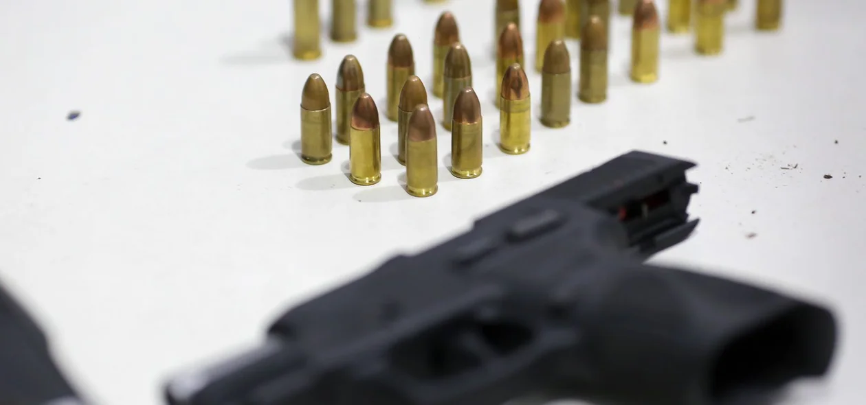 Armas e munições apreendidas
