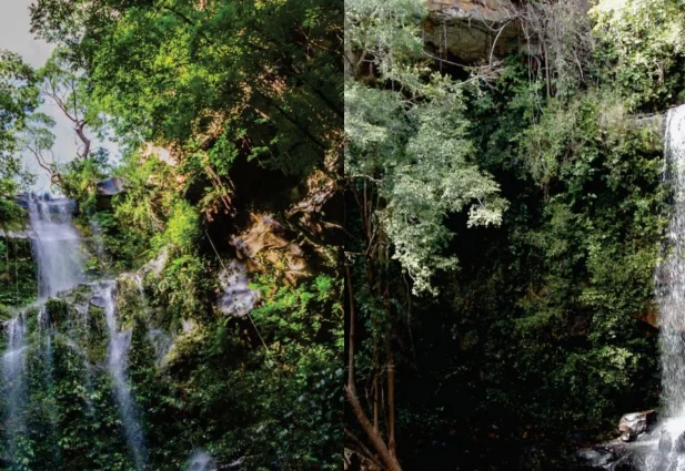 Cachoeira do Urubu-Rei e Cachoeira do Salto Liso