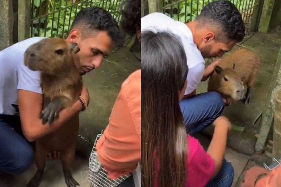 Capivara Filó é devolvida ao influenciador Agenor Tupinambá em Manaus
