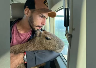 Capivara Filomena foi transportada nos braços de Agenor